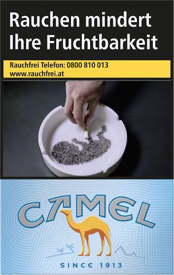 camel