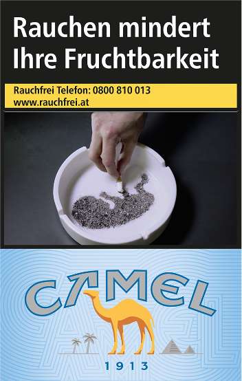 camel